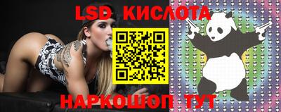 бошки Будённовск