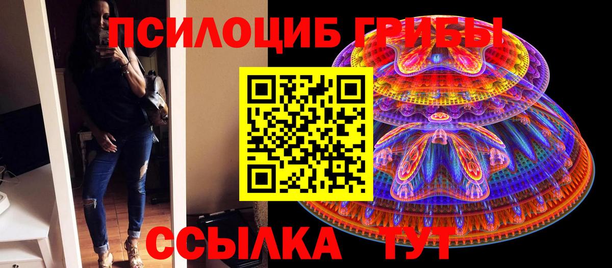 Ярцево  Псилоцибиновые грибы Psilocybine cubensis  Вход с VPN 